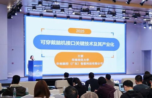 脑机接口开发者大会 搭建生态赋能链接，激活动能加速技术开发